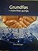 Price comparison product image GRUNDFOS MORE THAN PUMPS
