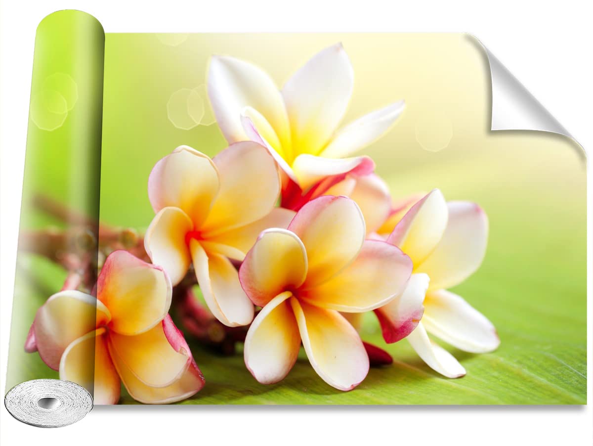 Papier Peint Fleurs Frangipani pour rénover un mur facilement sans colle Tulup