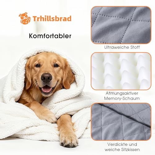 Hunde autositz für mittlerer/große Hunde, 2 Klipsbare Verstellbare Sicherheitsleine, Autohundebett für 2 Kleine Hundes, Vollständig Abnehmbare und Waschbare Karzsitz Aufbewahrungstaschen (Schwarz)