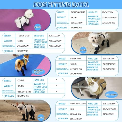 BECROWM Wasserabweisende Hundefüßlinge für kleine/mittlere Hunde – Hundeclawschutz, Füßlinge mit Halteband, rutschfest, reflektierend, schmutzabweisend(Schwarz, Klein)