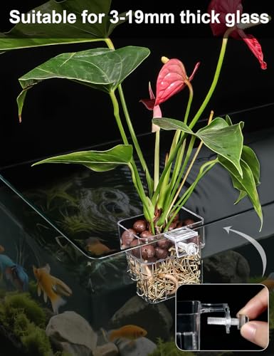Image of 2 Pack Clear Aquarium Plant Holder Top Hanging Fish Tank Plant Holders Fits up to 0.8in Tank Edges, Aquarium Decor