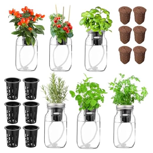 33+ Vintage Farmhouse Kitchen Ideas You'll Love 4 Teenyyou 6 Set Hydroponic Herb Garden Planter Indoor Kit, Include 6 Self Watering Mason Jars 6 Planting Baskets 6 Pre Sown Growth Plugs and 6 Absorbent Cores Herb Growing Kit for Practical Gardening