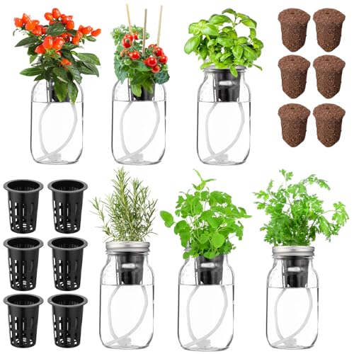 Teenyyou 6 Set Hydroponic Herb Garden Planter Indoor Kit, Include 6 Self Watering Mason Jars 6 Planting Baskets 6 Pre Sown Growth Plugs and 6 Absorbent Cores Herb Growing Kit for Practical Gardening