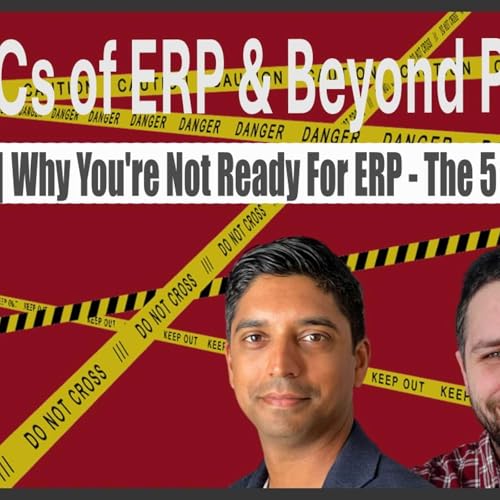 『S03E19 | Why You’re Not Ready for ERP』のカバーアート