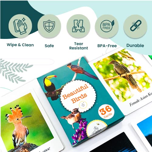 Image of Beautiful Birds Flash Cards | 36 Laminated Cards | Age Group: 2-4 Years | Science Educational & Fun Activity for Kids