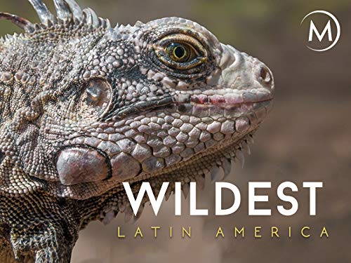Wildest: Latin America