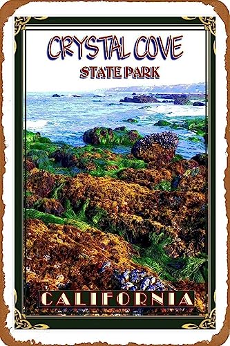 Be[W uL Ŕ NX^R[uj[|[gr[`JtHjABAJOsL Be[W uL Ŕ AJ W 20X30cm