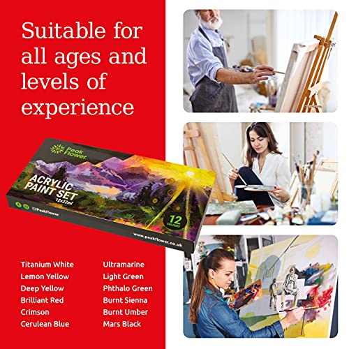 Peak-Flower-Acrylic-Paint-Set-12x22ml-Vibrant-Colours-for-Artists-Beginners-Adults-Kids-Ideal-for-Canvas-Paper-Ceramic-Stones