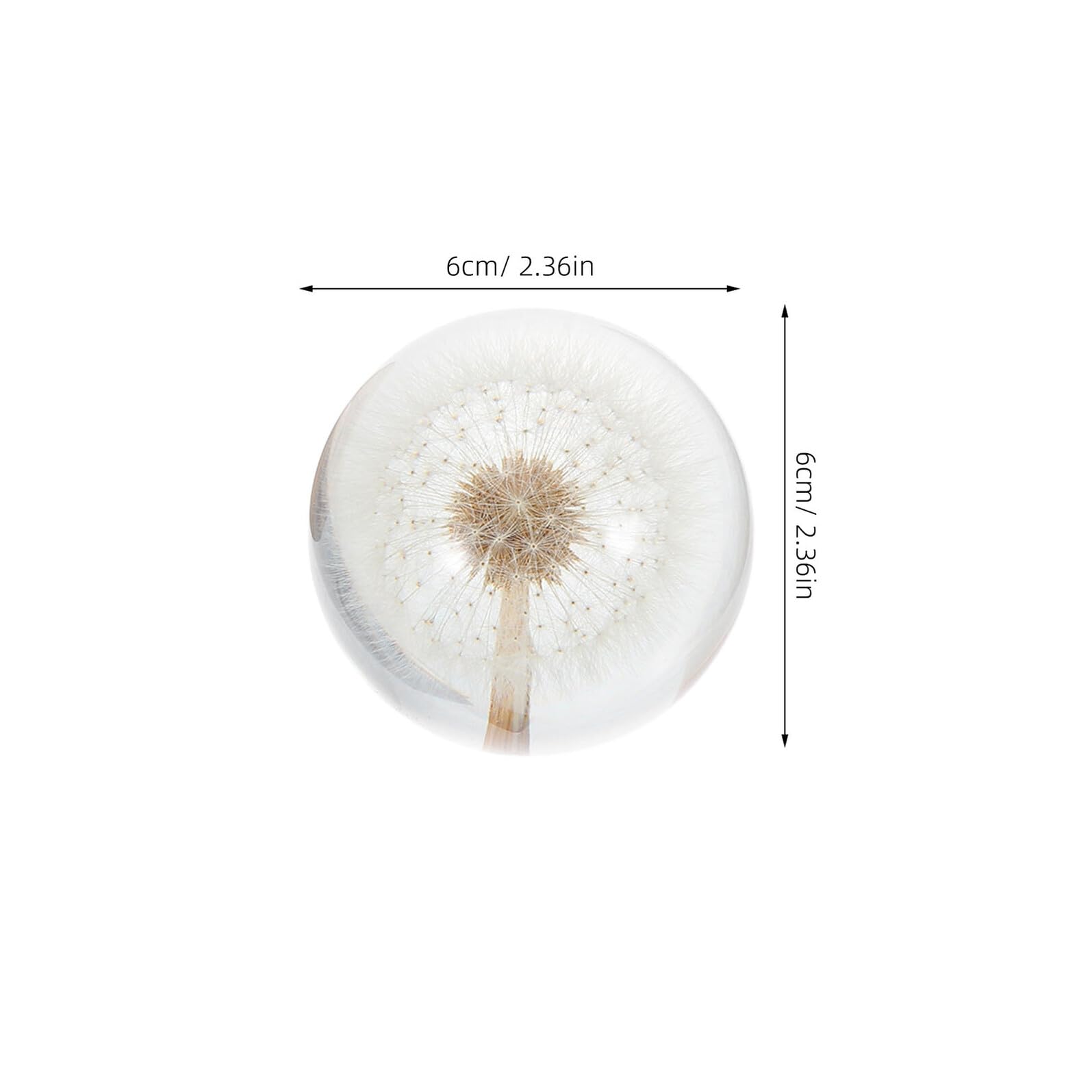 SHINEOFI Lampada da Tavolo in Cristallo 3d a Sfera con Incisione Tarassaco, Luce Notturna Decorativa USB con Base in Legno Massello, Globo Luminoso per Atmosfera Calda e Regalo Elegante