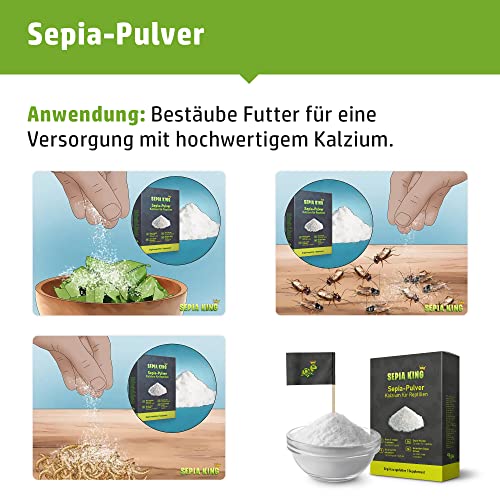 Sepia King - Sepia-Pulver - Kalzium für Schildkröten, Bartagame, Reptilien - gemahlene Sepiaschalen - Futter Bestäuben, Insekten - Futterkalk, Kalk Terrarium - 50g