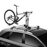 Thule ThruRide Roof Bike Rack
