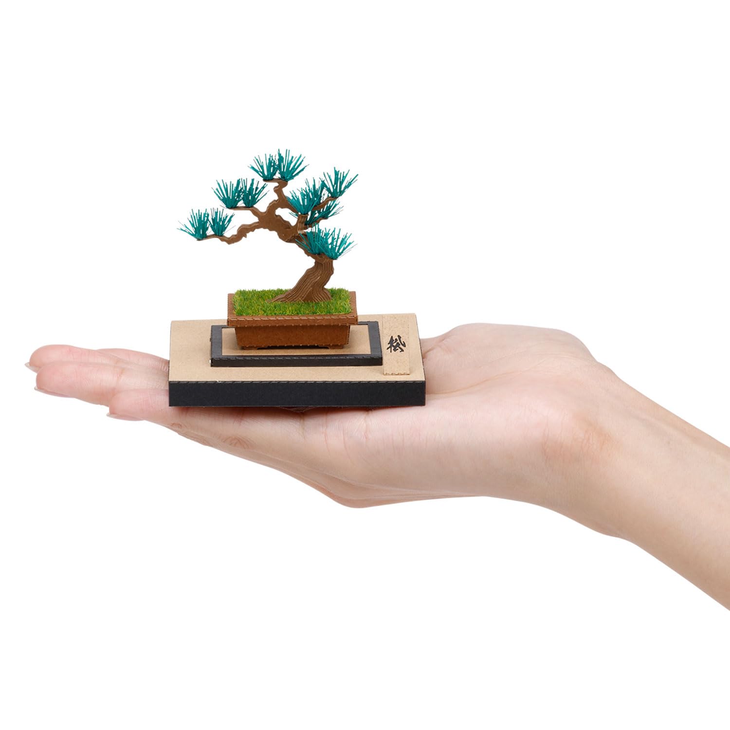 Amazon.co.jp: カワダ(Kawada)ペーパーナノ360 盆栽 松 PS-13 0.7×12 Amazon.co.jp: カワダ(Kawada)ペーパーナノ360 盆栽 松 PS-13 0.7×12