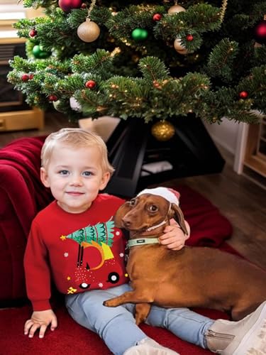 Toddler Boys Christmas Sweatshirt Kids Ugly Xmas Reindeer Santa Holiday Sweater Long Sleeve Crewneck Pullover 2-7T2