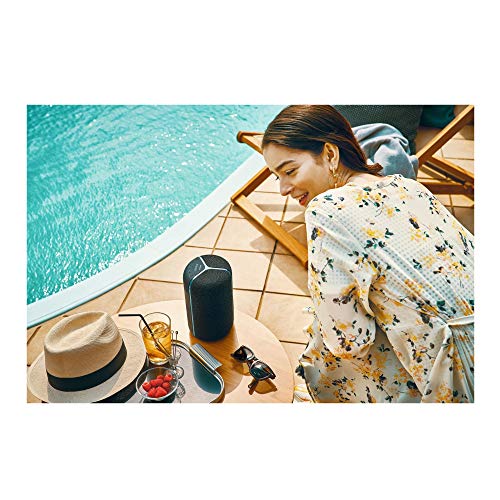 Sony SRS-XB402G Extra BASS Bluetooth Party Speaker with Built-in Wi-Fi, Waterproof 