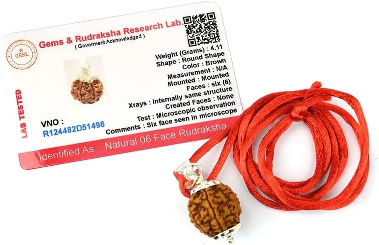 Aleafa Armlet Presents 6 Mukhi Rudraksha/Six Faced Rudraksha Pendant Original Rudraksha Locket (Color Brown) #Aport-0145