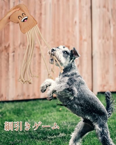 SCHITEC Dog Rope Toys, Plush Crinkle Tug of War Toy for Small Medium Large Dogs Interactive Octopus Stuffed Chew Toy for Puppy Teething - Image 2