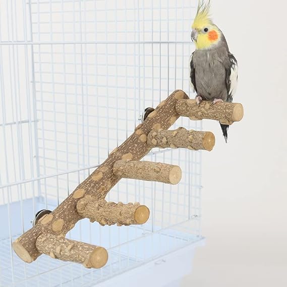 AWXZOM Natural Wood Bird perches, Bird Ladder
