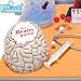 Ben Franklin Toys Doctor Lab Pad Biology Kit