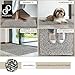 DOMOPRIMA® Fußmatte 60x40 cm Grau – Waschbare Schmutzfangmatte aus Mikrofaser, rutschfest und extra saugstark, 7 mm flach, Türmatte für Eingang, Flur, Küche, Bad, Katze und Hund