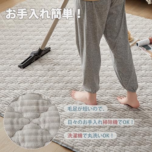 VK Ingeroom カーペット ラグ 極厚25mm ラグマット 3畳 絨毯 厚手 ラグ 滑り止め 防音 洗える フランネルラグ 床暖房 ホットカーペット対応 無地 シンプル 防ダニ 防臭 ラグ 190×240cm グレー/グリーン [5]