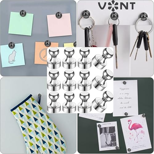 Image of VONT Mini Fridge Neodymium Magnets with a Storage Box Cone Handle for Kitchen Magnetic Board Whiteboard Notice Board and Office (1)
