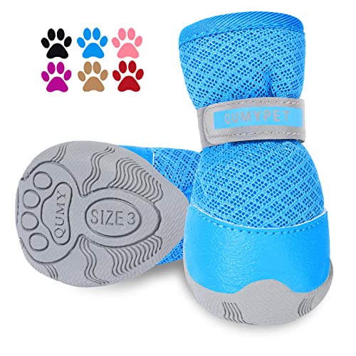 10 Best Shoes For Small Dogs