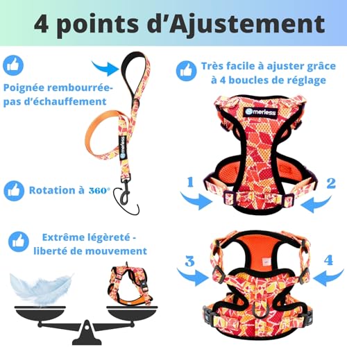 Harnais et Laisse pour Chien Chiot Chat. Harnai Réglable Original Arnet Anti Traction Coffret Cadeau pour Les Chiens de Petite Taille comme Bichon Léger Souple Solide (S, Orange) Poids Idéal 3-7,5kg - Image 4