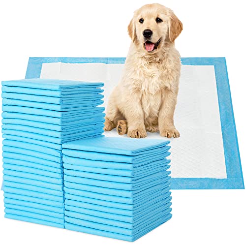 amazon.ae Best Sellers The best items in Disposable Dog Training Pads