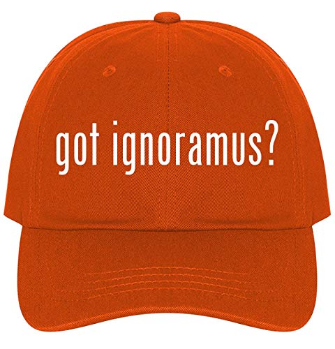 The Town Butler got Ignoramus? - A Nice Comfortable Adjustable Dad Hat Cap