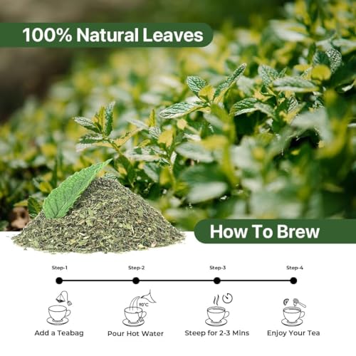 Image of BLUE TEA - Spearmint Herbal Tea - 30 Tea Bags (Pack of 2) - Plant Based | PCOS RELIEF | Supports Digestion | Balances Hormones | Reduces Facial Hair | Herbal Tea - Dried Loose Leaf - Caffeine Free | Zipper Packaging