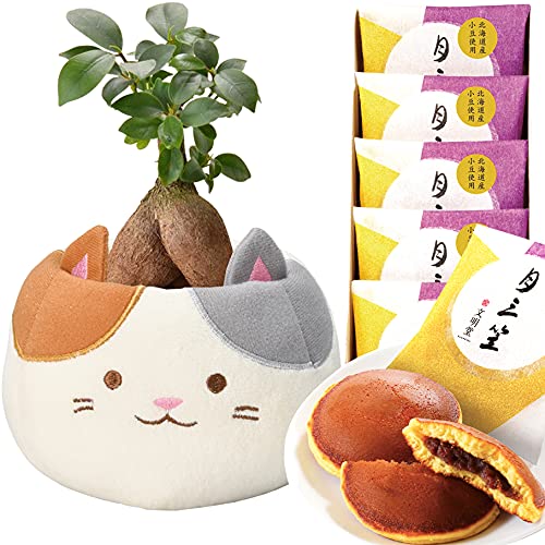 Ԃ̃Mtg KW} KW}̖ ϗtA ~j { A v[g OєL َq