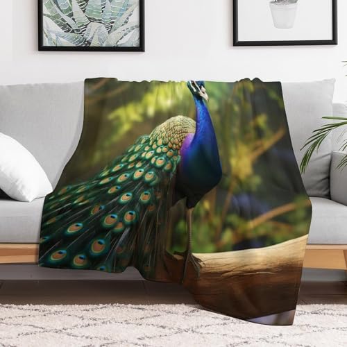 Couverture polaire paon super douce moelleuse légère lit canapé