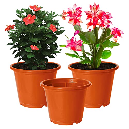 Image of Kuber Industries Durable Plastic Flower Pot|Gamla with Drain Holes for Indoor Home Decor & Outdoor Balcony,Garden,6 inchx5 inch,Pack of 3 (Orange)