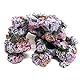 Amtra A8011195 Dekorativer Resin Reef Rock Lg 1