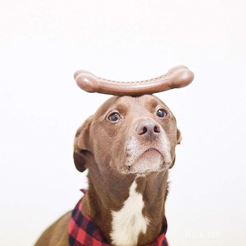 Miniatura 8 de Pet Qwerks Flavorit BarkBone - Hueso de perro rellenable para masticadores moderados, sabor a mantequilla de maní, 5.5 pulgadas, fabricado en