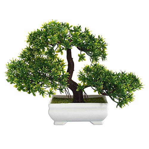 Best Mini Fake Bonsai Tree Where to Buy?