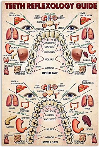 Youpinnong Dental Knowledge Frameless Poster Wall Art Medical Learning Canvas Paintings Prints Dental Hospital Clinic Decoration Learning Chart Doctor Office Wall Decoration 12x18inch