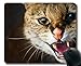 Yanteng Cojín de ratón, cojín de ratón de los Bigotes Gato Salvaje, Estera del ratón para la computadora cat227