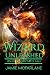 Wizard Unleashed: An Urban Wizard's Tale (Witchy World Book 3)