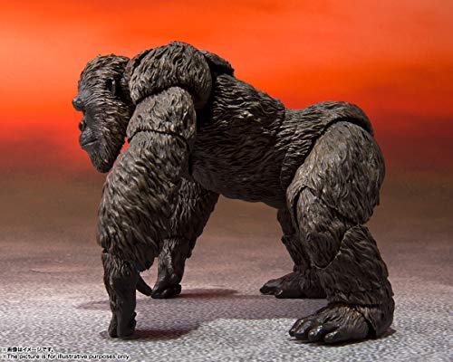 TAMASHII NATIONS - Godzilla VS. Kong - Kong from Movie Godzilla VS. Kong (2021), Bandai Spirits S.H.Monsterarts - Image 4