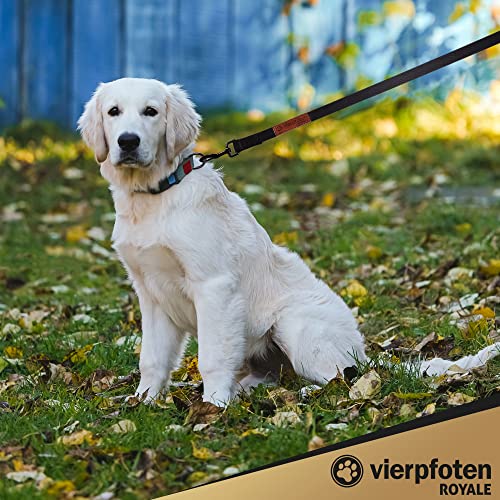 VierPfoten Schleppleine für Hunde, 5m, 10m, 15m, 20m, Robuste Hundeleine, Trainingsleine, Griffpolster, Aufbewahrungsbeutel, stabilem D-Karabiner (5m)