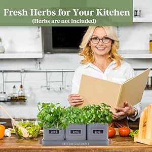 PERFNIQUE Indoor Herb Garden, Herb Garden Planter Set with Tray, Farmhouse Indoor Plant Pots, Windowsill Herb Garden with Drainage(Planter only) for Indoor/Outdoor, Window Pots(Grey) PERFNIQUE Indoor Herb Garden Herb Garden Planter Set with Tray Farmhouse Indoor Plant Pots Windowsill Herb Garden with DrainagePlanter only for IndoorOutdoor Window PotsGrey