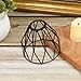 KUMGROT 1 Pcs Pendant Lamp Shade Bulb Cover Guard Metal Guard for Ceiling Light Pendant String Light Vintage Industrial Metal Wire Cage for Bedroom Dining Offices Decoration, Black (C009)