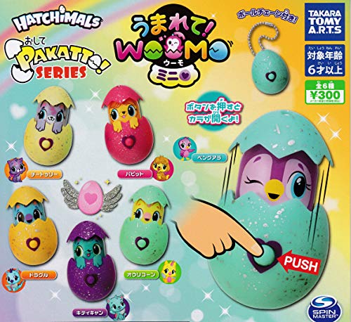 PAKATTOISERIES ܂āIE[ ~j S6Zbg K`K`