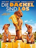 hunde kaufen wiener neustadt  Die Dackel sind los