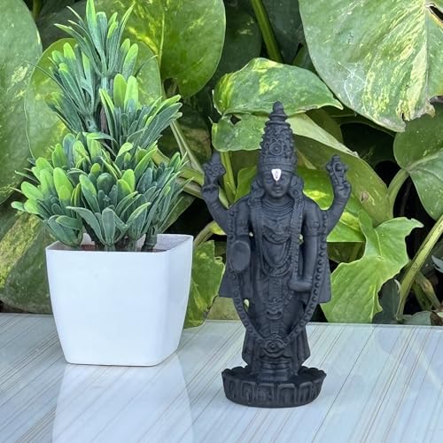 Image of Tirupati Balaji Idol for Car Dashboard, Venkateswara Swamy murthi, Vaastu Advised Balaji Statue - Tirupati Balaji Murti Idols for Pooja Room (Black 11 CM)