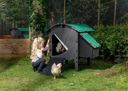 Kleiner Lodge Hühnerstall 23 Hühner 25 Jahre Hühnerstall für 3