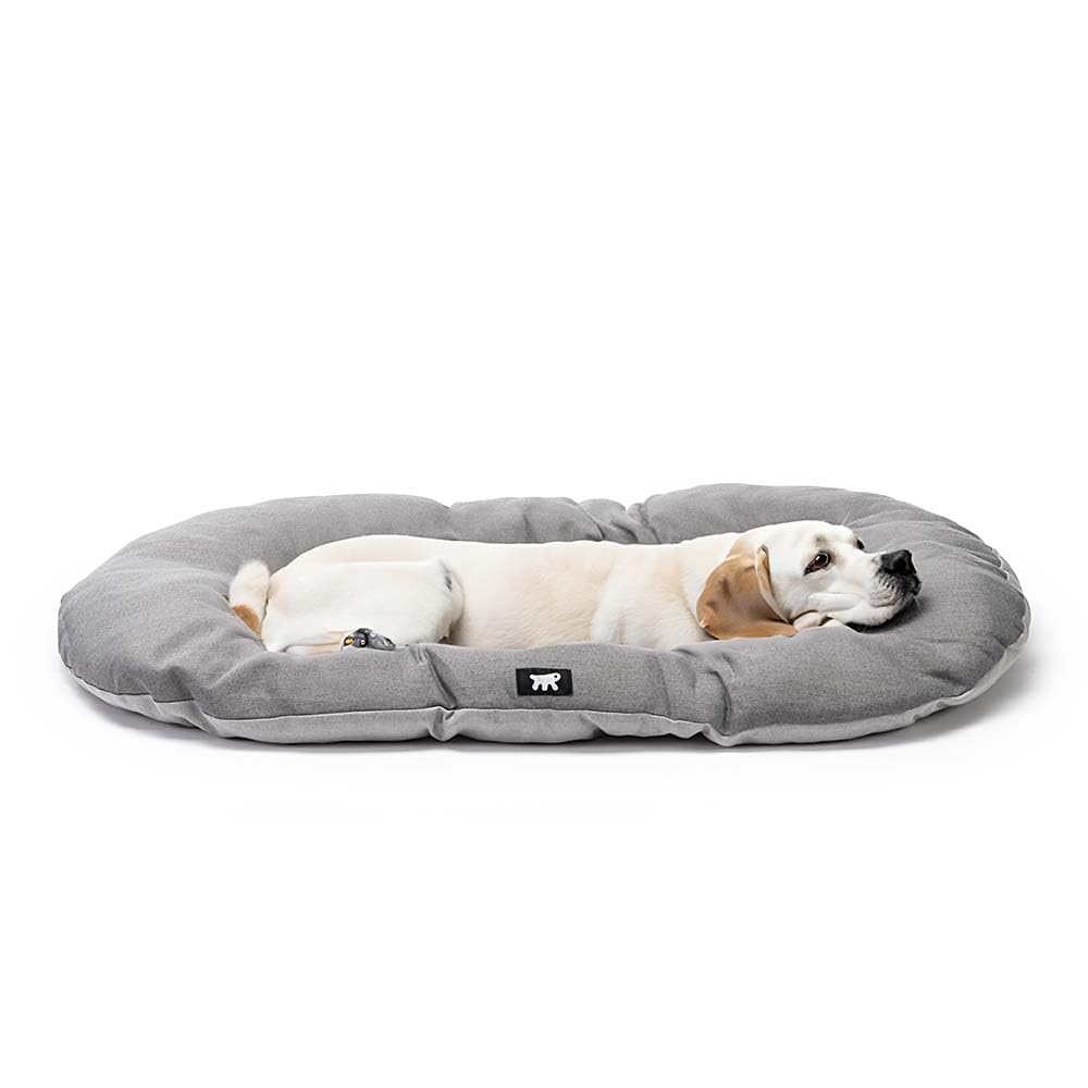 Ferplast Cuscino Cane RELAX 100/12 SANITIZED, Lettino per Cani, Protezione Antibatterica Antivirale, Cuscino Cane Grande, Cuscino Imbottito per Cuccia Cane, Cotone, Lavabile, 100 x 63 cm, Grigio