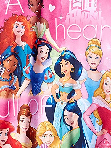 Disney Princess Girls Long Sleeve Nightgown Pajamas (4, Pink) #TOP5