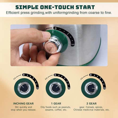 Image of Electric Spice and Nut Grinders - 3 Stainless Steel Blades, 1 Filter, 1 Brush - 500W Grinder for Kitchen, Dry Use (Green)